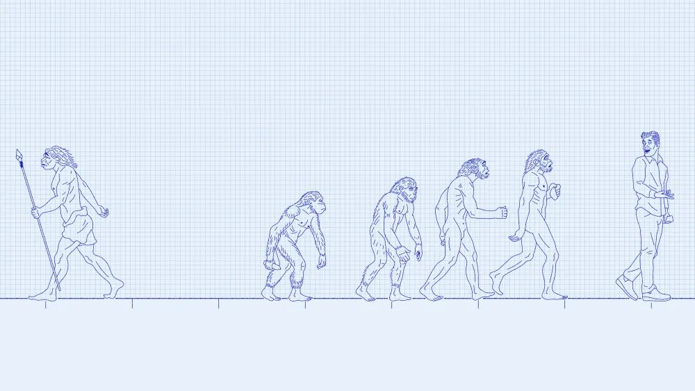 Creative-tech studio story visual